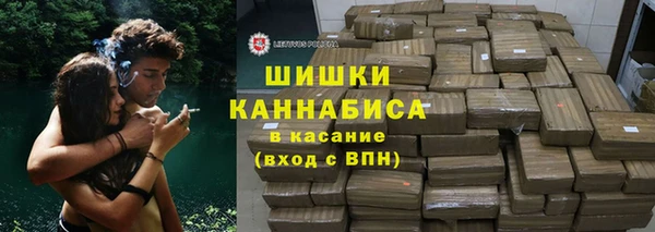 гидра Белокуриха