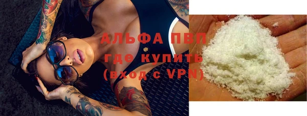 гидра Белокуриха