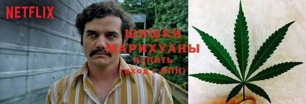 ECSTASY Богданович