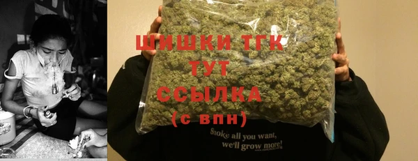ECSTASY Богданович