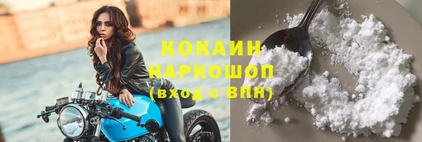 гидра Белокуриха