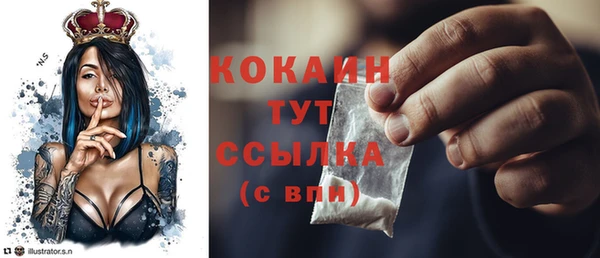 ECSTASY Богданович