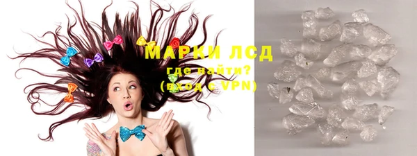 гидра Белокуриха