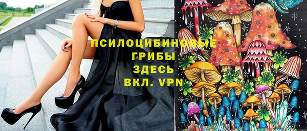 дживик Беломорск