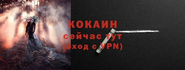 дживик Беломорск