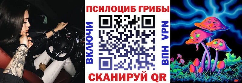 Псилоцибиновые грибы мицелий  Надым 
